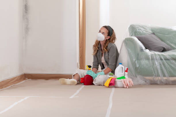 Reliable Mold Removal contractor in Newaygo, MI by Car Mold Remediation